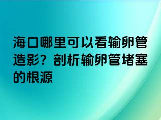 ?？谀睦锟梢钥摧斅压茉煊埃科饰鲚斅压芏氯母?>
                                                </div>
                                            </a>
                                        </div>
                                        <div   id=