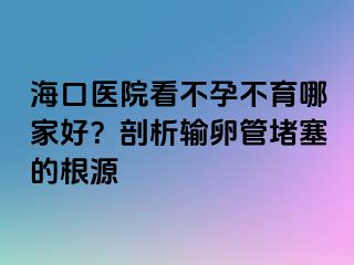 海口醫(yī)院看不孕不育哪家好？剖析輸卵管堵塞的根源