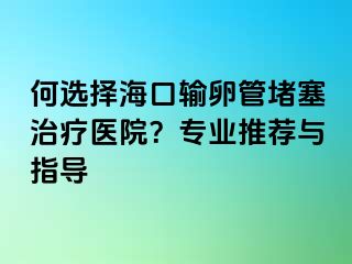 何選擇海口輸卵管堵塞治療醫(yī)院？專業(yè)推薦與指導(dǎo)