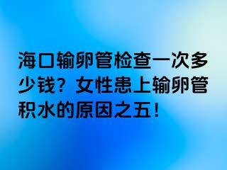 ?？谳斅压軝z查一次多少錢？女性患上輸卵管積水的原因之五！